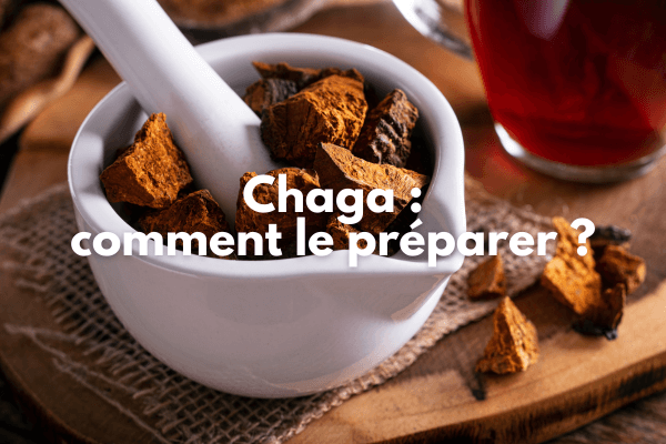 Comment préparer le chaga ?