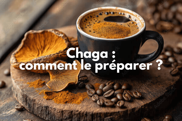 Chaga : comment le préparer