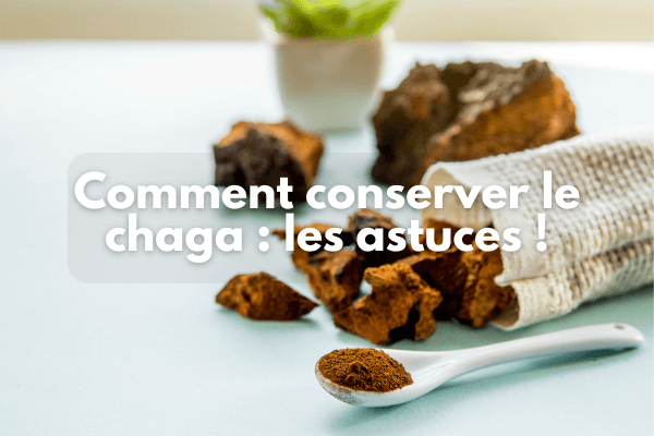 Comment conserver la chaga ?