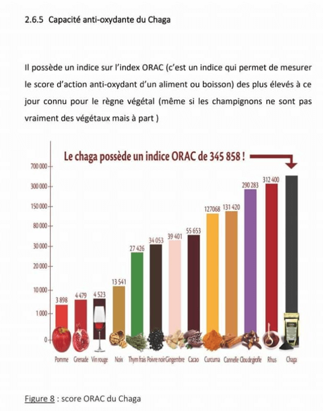 Indice ORAC du chaga