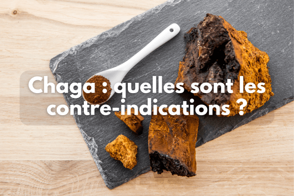 Chaga : quelles sont les contre-indications ?