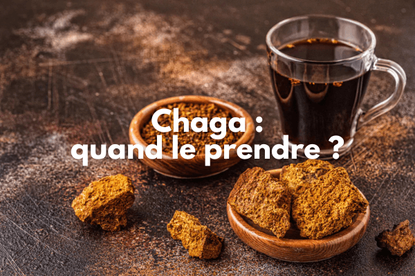 Quand prendre le chaga