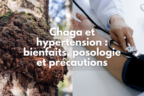 Chaga et hypertension