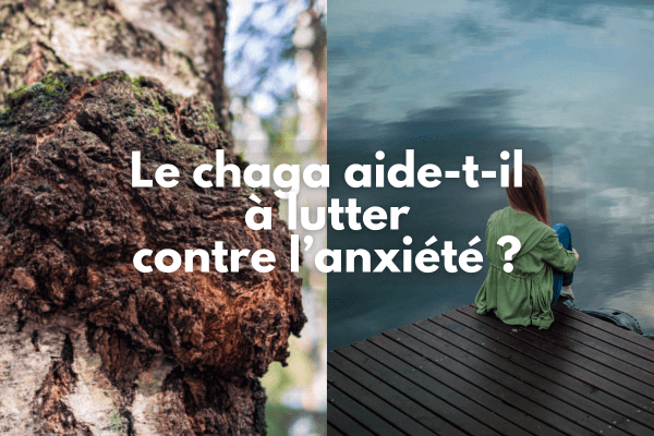 Le chaga aide-t-il à lutter contre l'anxiété ?