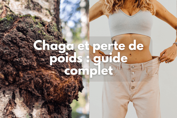 Chaga et perte de poids