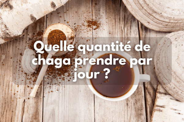 Quelle quantité de chaga par jour