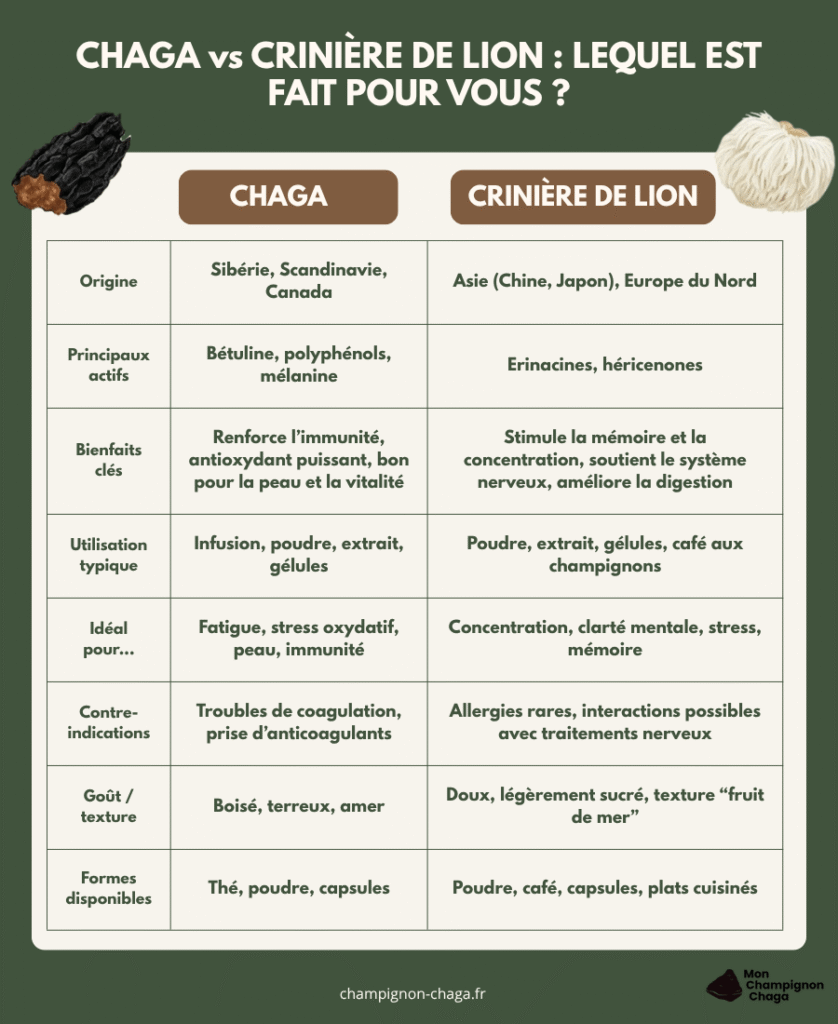 Chaga crinière de lion : lequel choisir ?
