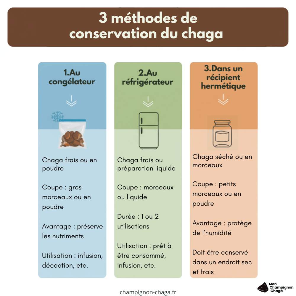 Les méthodes de conservation du chaga