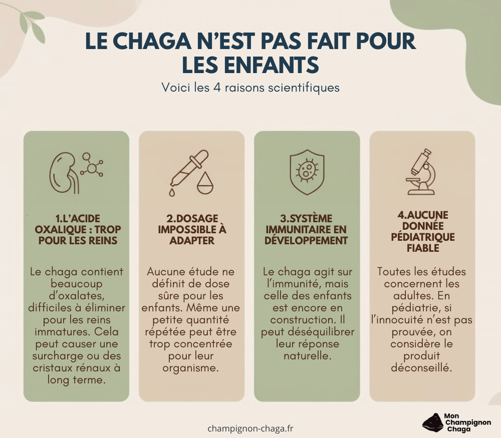 Le chaga n'est pas fait pour les enfants