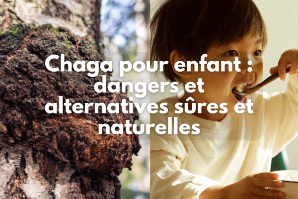 Chaga pour enfant : dangers, alternatives sûres et naturelles