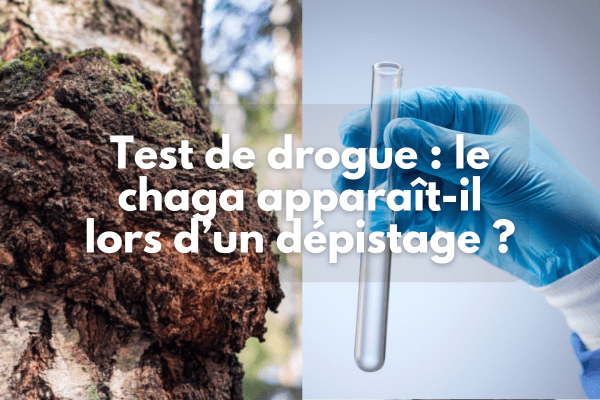 Test de drogue : la chaga apparaît-il lors d'un dépistage ?
