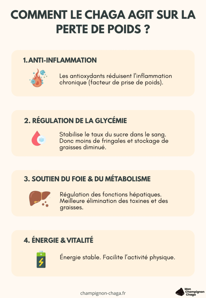 Les effets du chaga sur la perte de poids