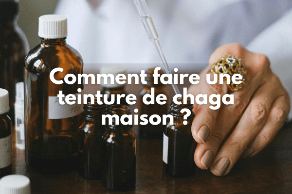 Comment faire une teinture de chaga maison ?