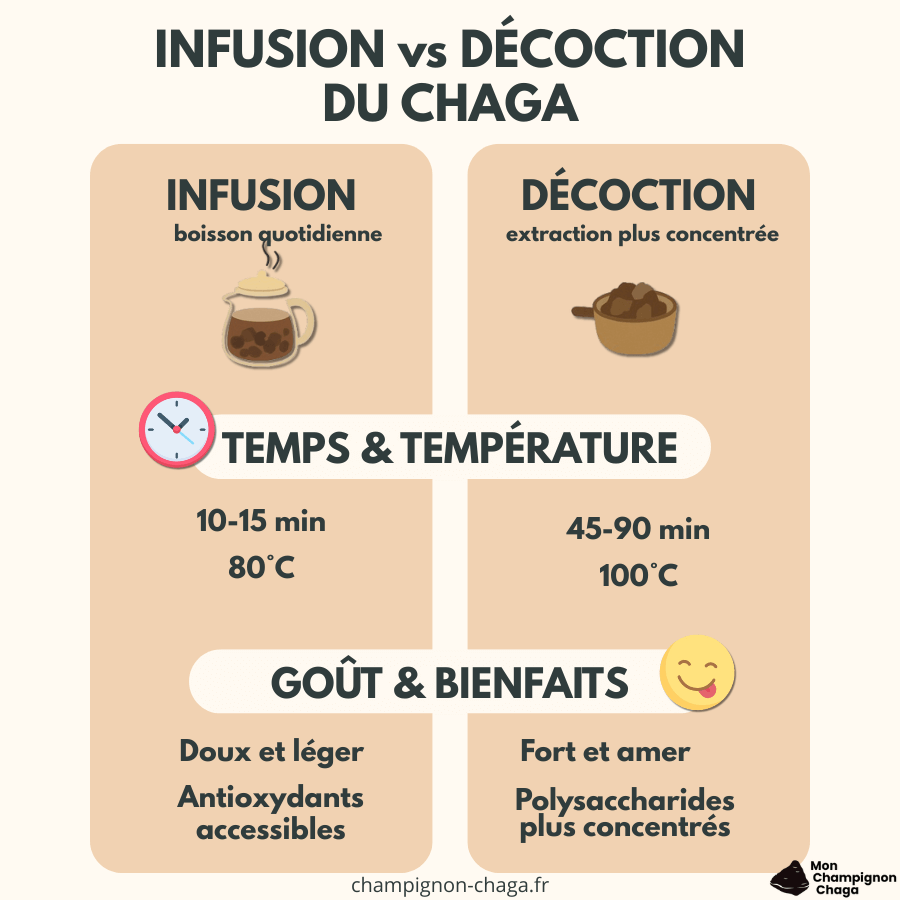 Infographie de l'infusion et la décoction de chaga