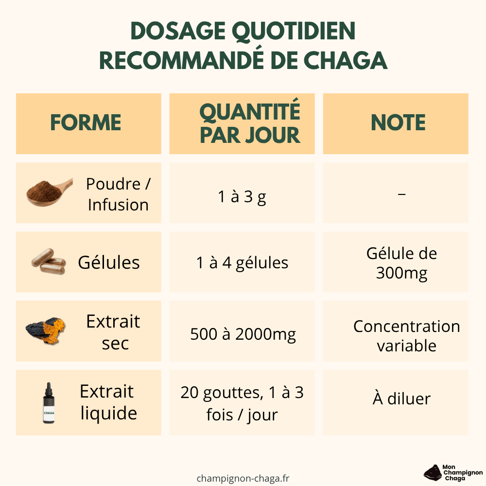 Infographie des dosages recommandés par jour du chaga selon la forme