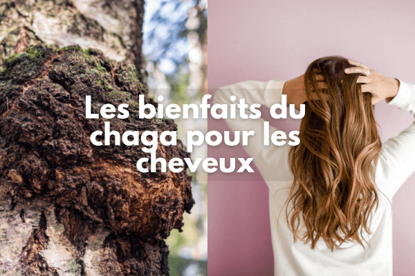 Les bienfaits du chaga pour les cheveux