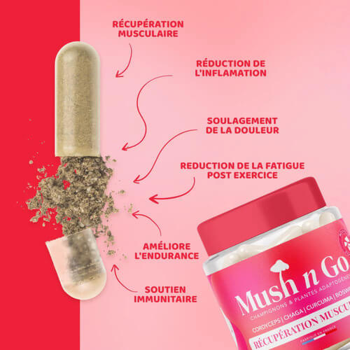 Les bienfaits de Récupération Musculaire de MushNgo