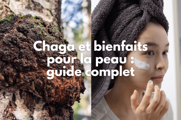 Chaga et bienfaits pour la peau