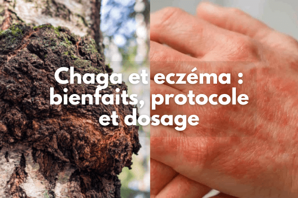 Chaga et eczéma