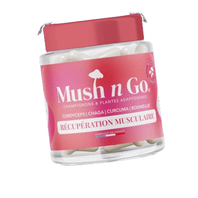 Récupération Musculaire de MushNgo