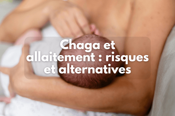 Chaga et allaitement : pourquoi éviter ce champignon et quelles alternatives choisir ?