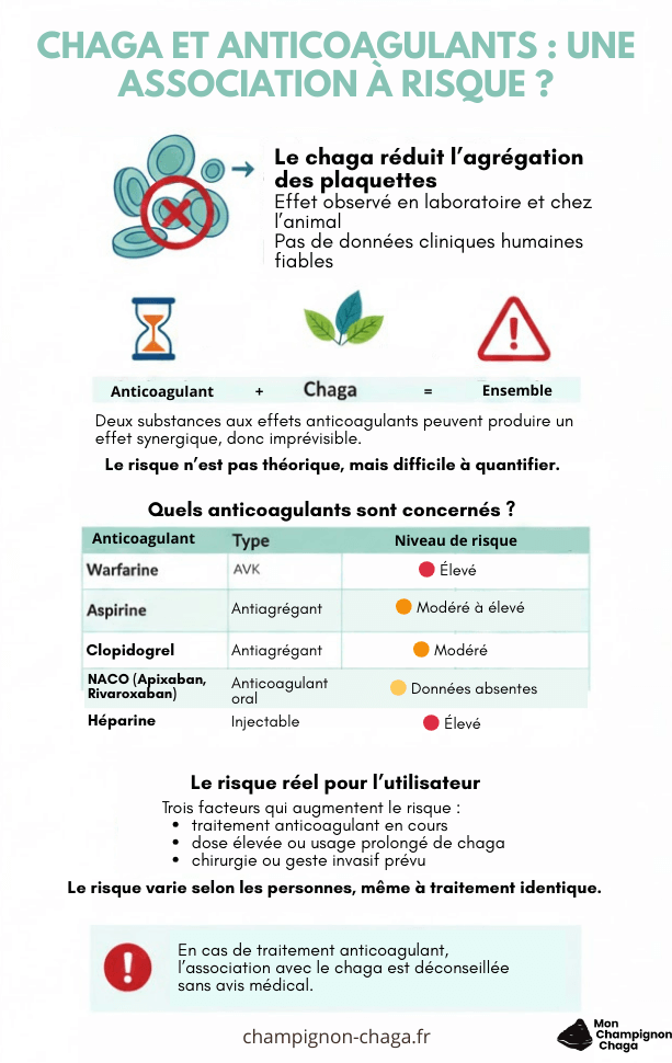 Chaga et anticoagulants