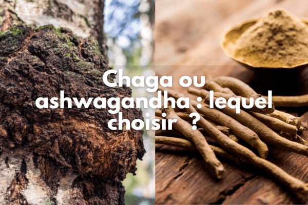 Chaga ou ashwagandha ?