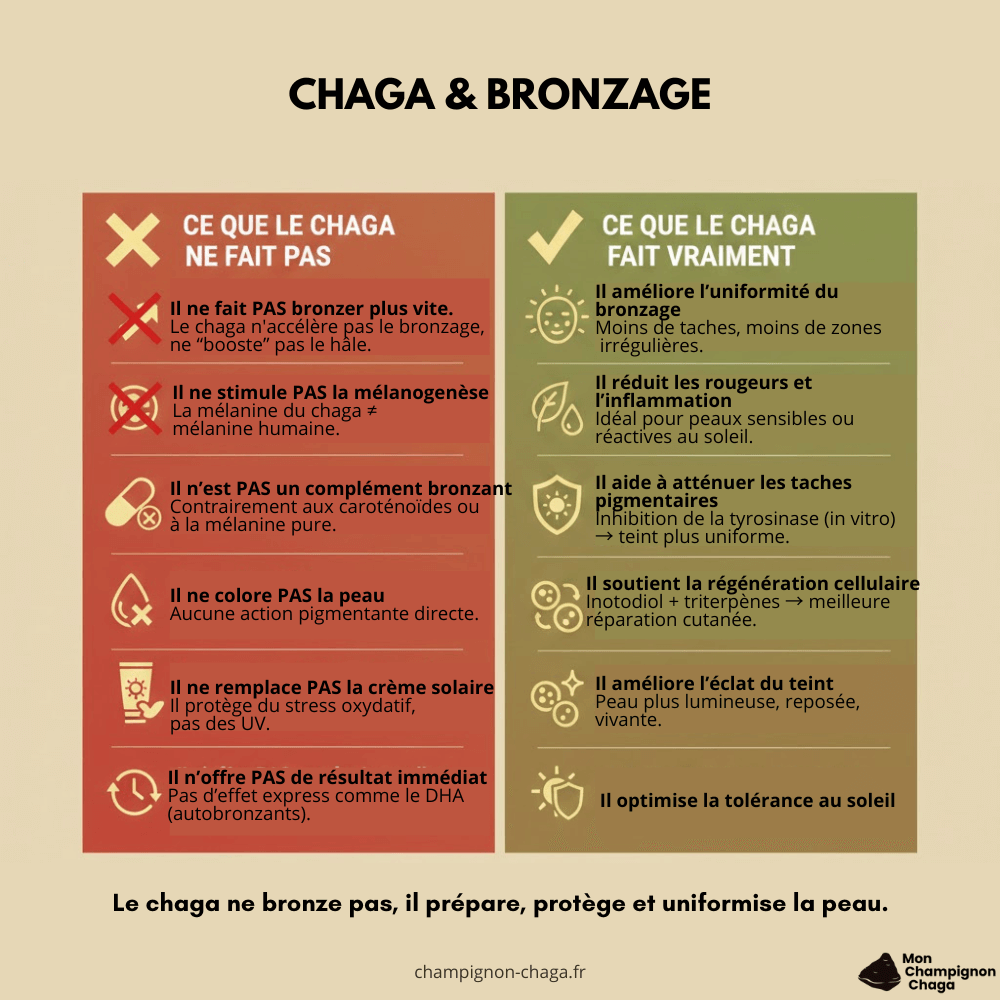 Chaga et bronzage