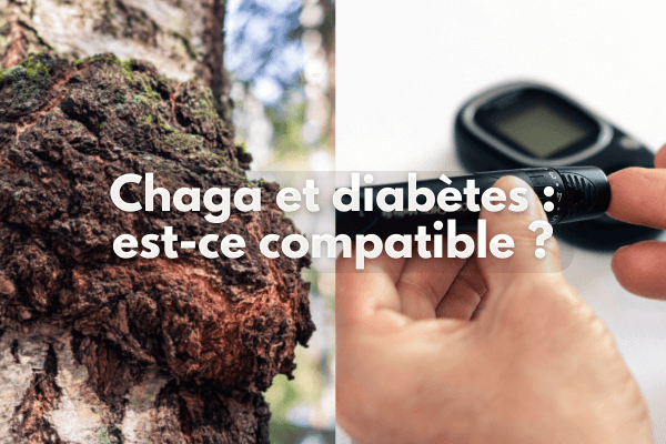 Chaga et diabètes