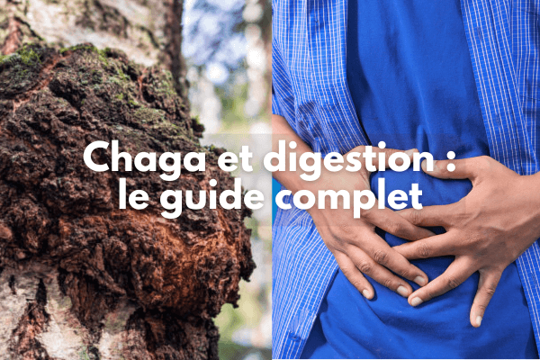 Chaga et digestion
