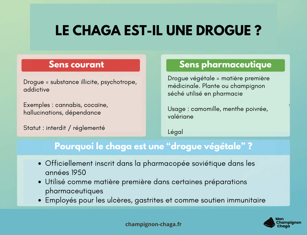Le chaga est-il une drogue ?