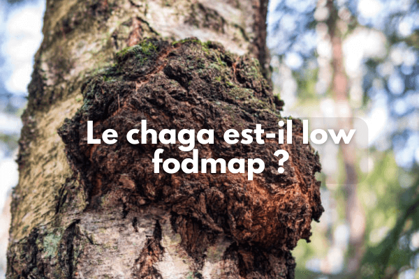 Le chaga est-il low fodmap ?