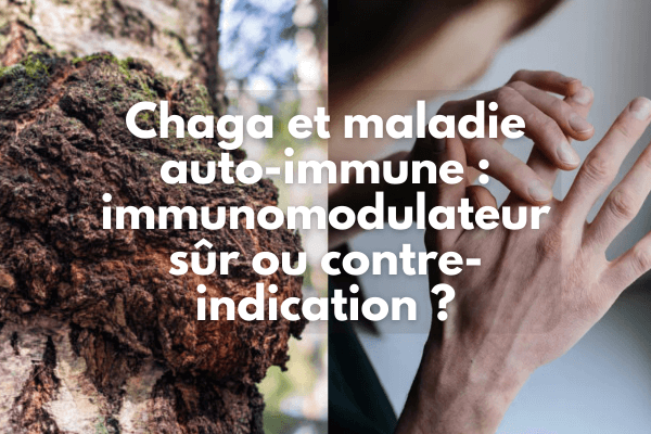 Chaga et maladie auto-immune