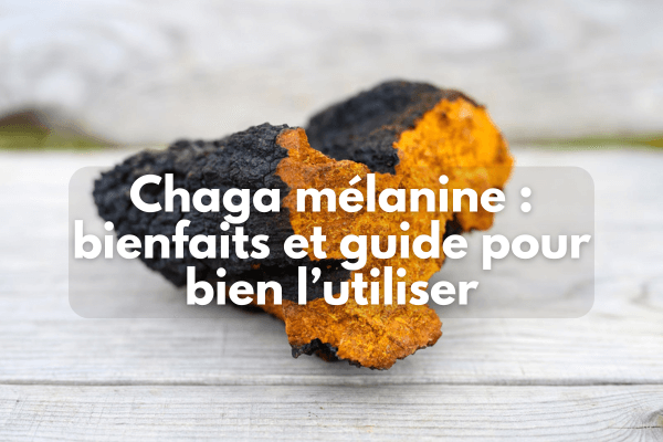 Chaga mélanine