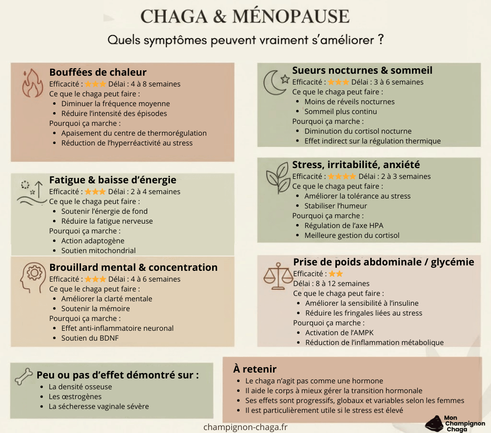 Chaga et ménopause