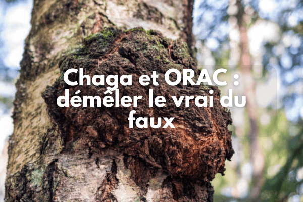 Chaga et ORAC