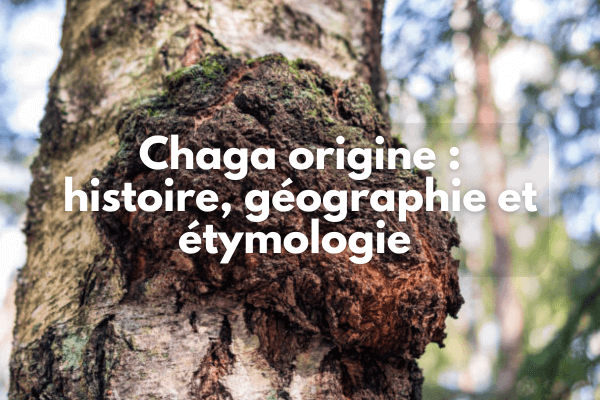 Chaga origine