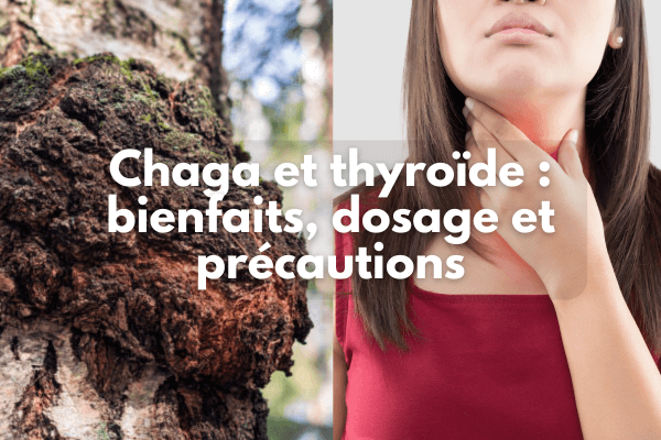 Chaga et thyroïde