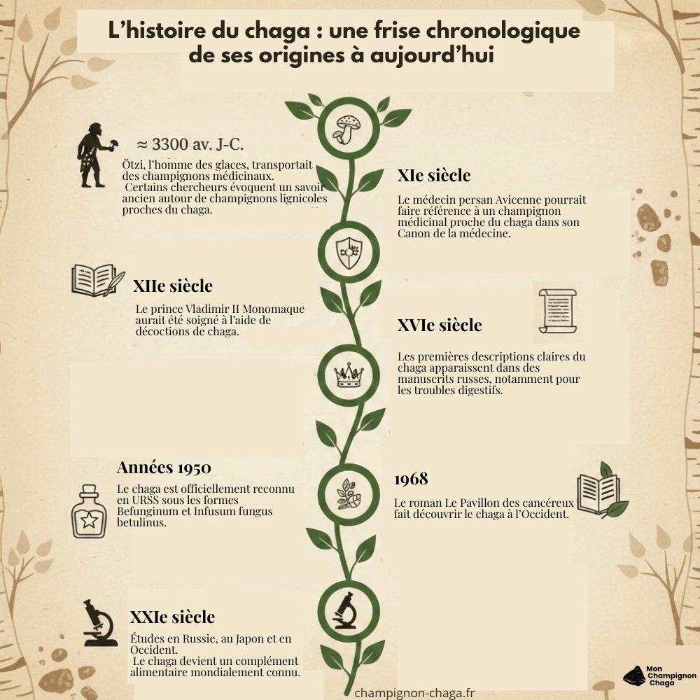 Histoire du chaga