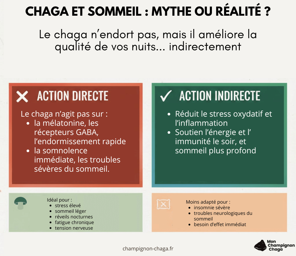 Chaga et sommeil