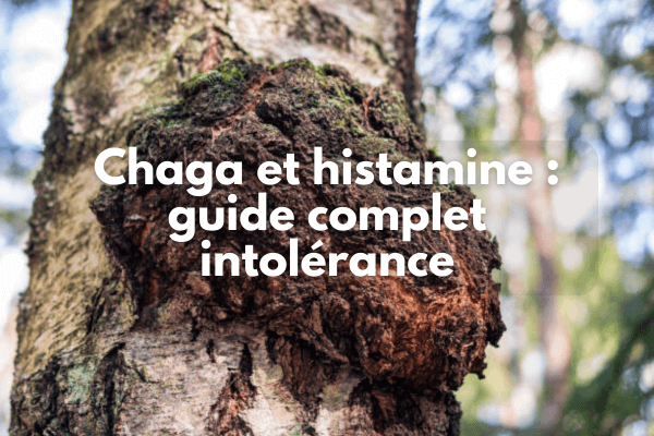 Chaga et histamine
