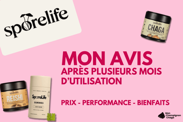 Avis SporeLife : mon retour d’expérience sans filtre