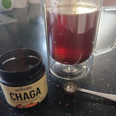 Boisson chaga SporeLife