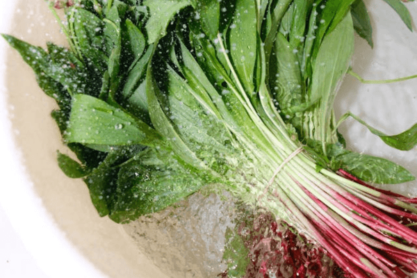 Recette d'ail des ours