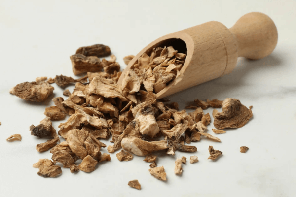 Chicorée sauvage racine