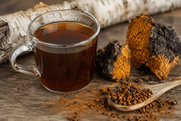 Boisson au chaga