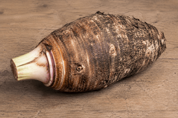Légume taro