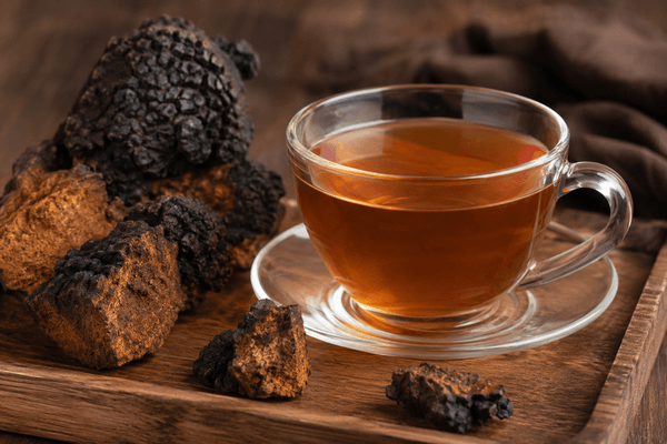 Thé au chaga